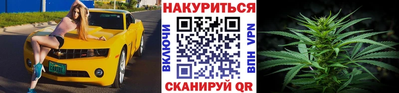 Конопля планчик  Макушино 